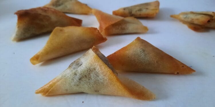 Samoussas au bœuf