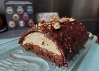 Bûche chocolat, vanille et praliné
