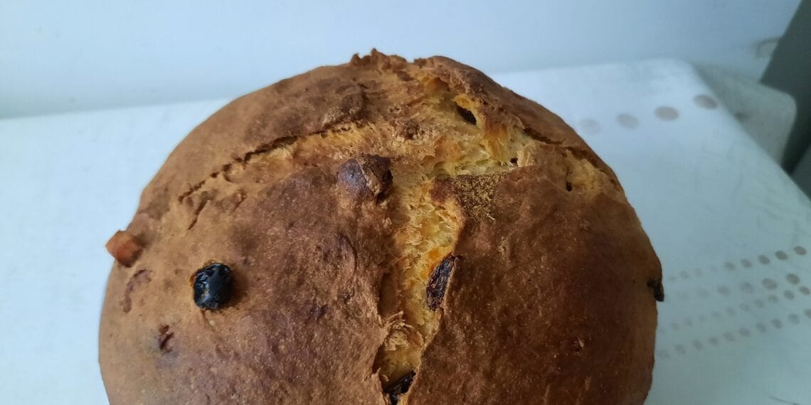 Panettone