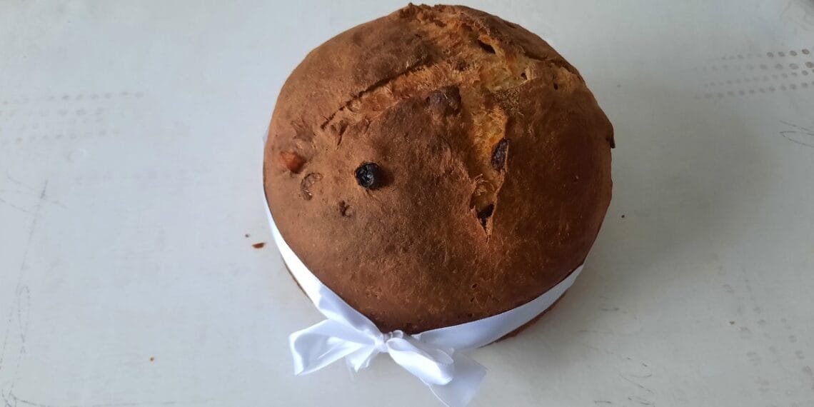 Panettone